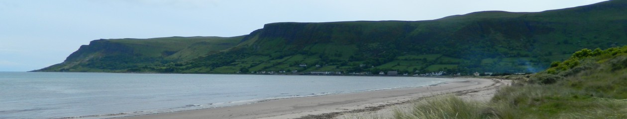 Mozaique Property